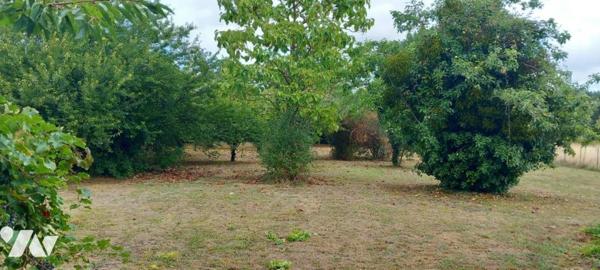 Maison à L'Île-Bouchard