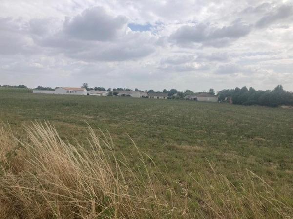 Terrain à LUCON, 85400 - 10000m²