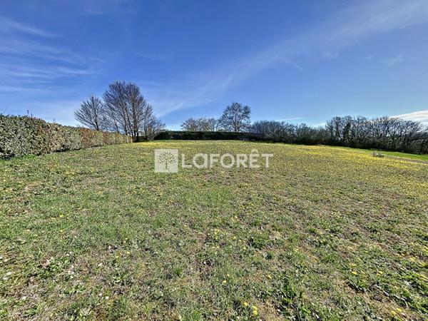 Achat terrain près de VILLEMUR SUR TARN - 770 m² - 35 400 €