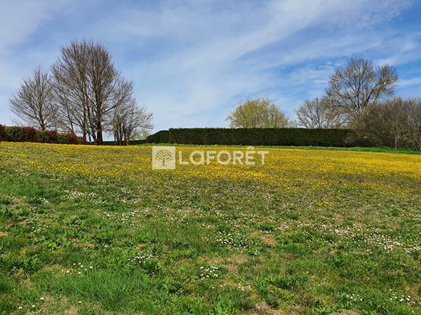 Achat terrain près de VILLEMUR SUR TARN - 770 m² - 35 400 €
