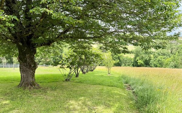 Maison à vendre    5 pièces •  Lacrouzette