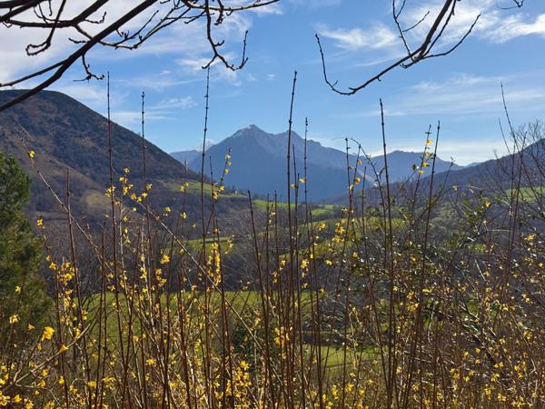 Véritable coin de paradis ! Propriété en montagne