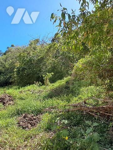 Terrain à Vendre au Gosier (97190) en Guadeloupe (971)
Découvrez ce terrain à bâtir idéalement...