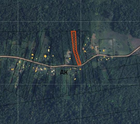 Terrain 1,5 ha à vendre sur ROURA (97311)