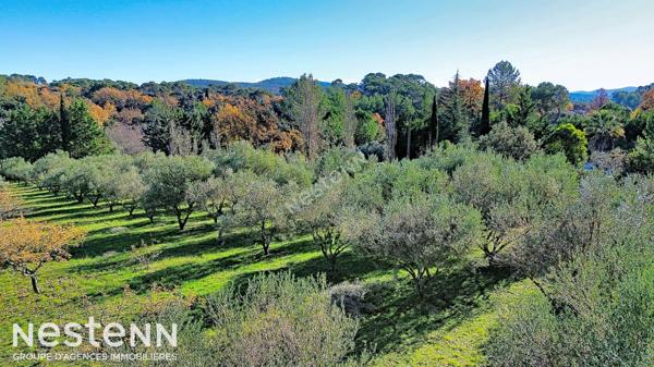 Maison Besse Sur Issole 4 pièce(s) 116 m2