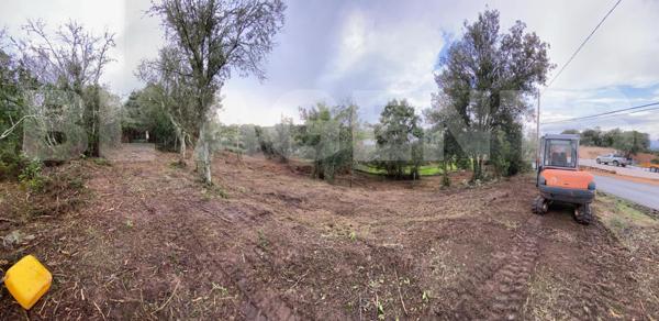 PORTICCIO - TERRAIN A BATIR - 2000 M²
