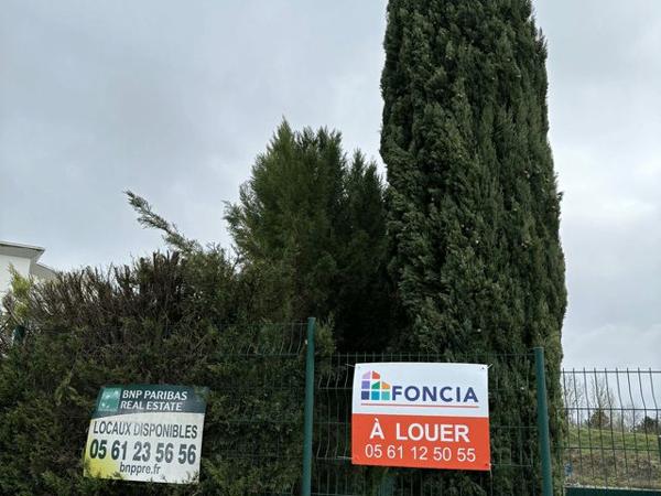 Location Local commercial 2 pièces 47 m² - 8 RUE JEAN MONNET Saint Jean 31240