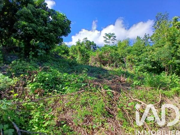 Terrain à vendre 450 m² Saint-Paul