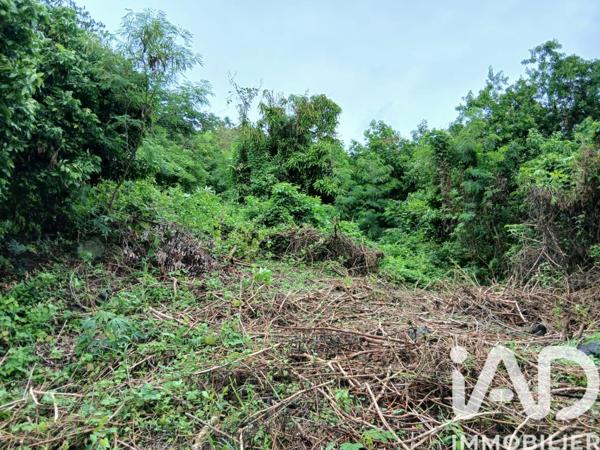 Terrain à vendre 450 m² Saint-Paul