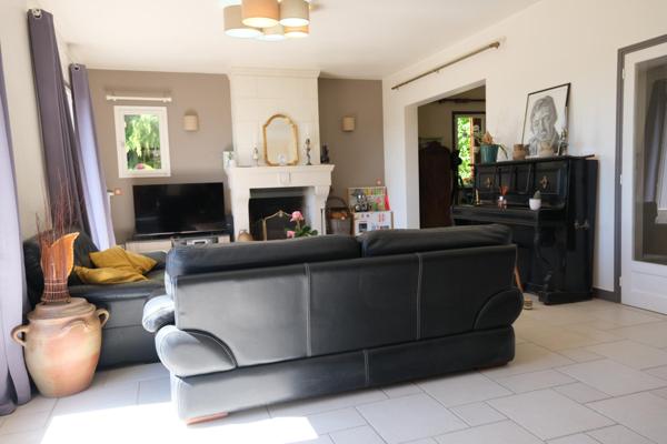 Idéal activvité chambres d'hôtes ou grande famille
