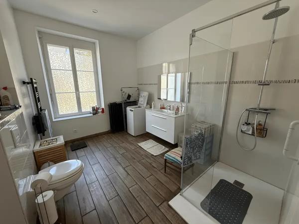 Maison Dangé Saint Romain