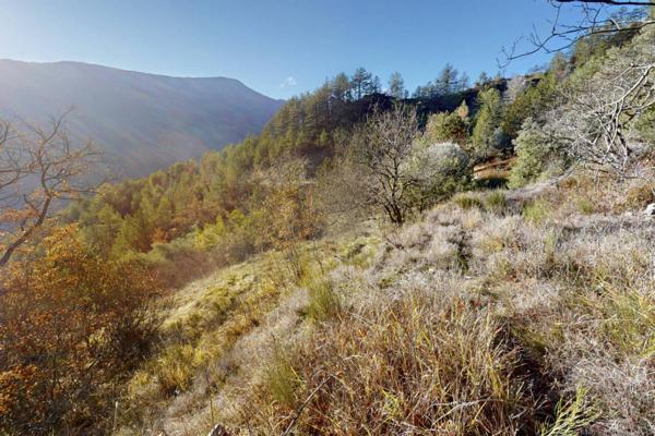 Terrain à vendre de 34 589 m²