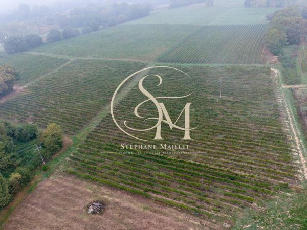 Propriété viticole de 18 ha avec maison et dépendances