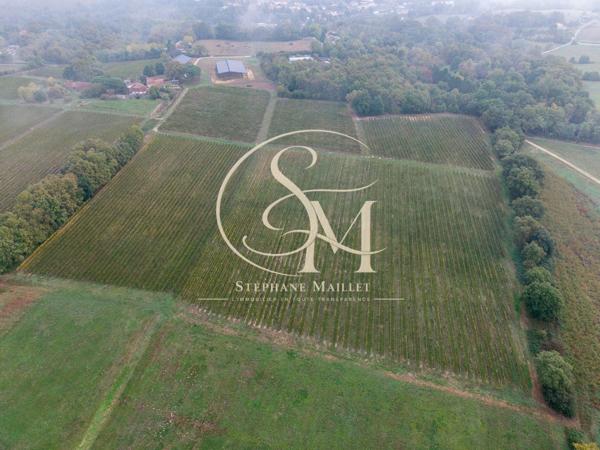 Propriété viticole de 18 ha avec maison et dépendances