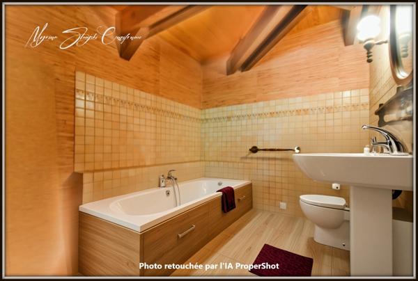 Propriete à vendre 8 pièces  de 350 m² environ à MIMIZAN (40) avec lac privatif, cadre exceptionnel
