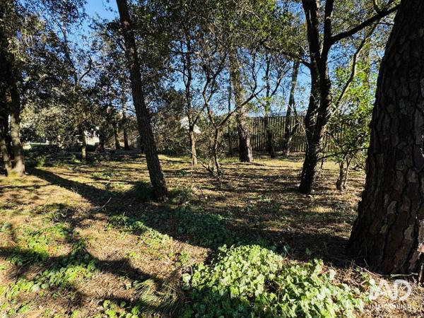 Terrain à vendre 549 m² Soulac-sur-Mer