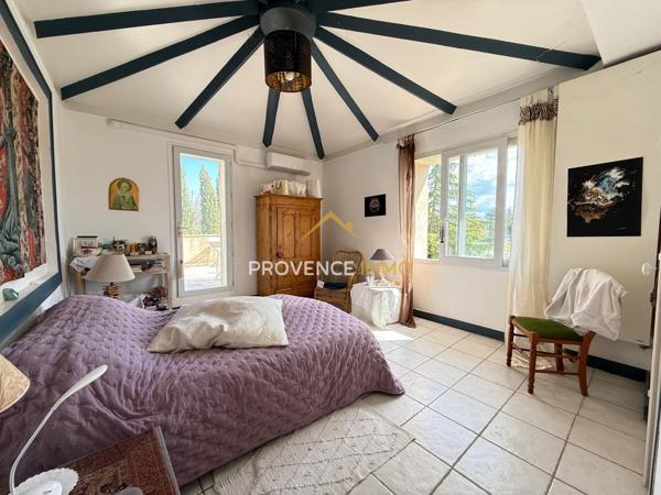 Sénas (13560) Mas mitoyen à la campagne à Sénas : Deux lots disponibles dans un même mas de caractère