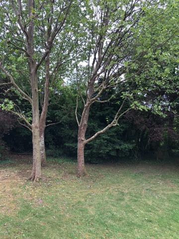 Appartement à vendre 5 pièces WATTIGNIES (59)