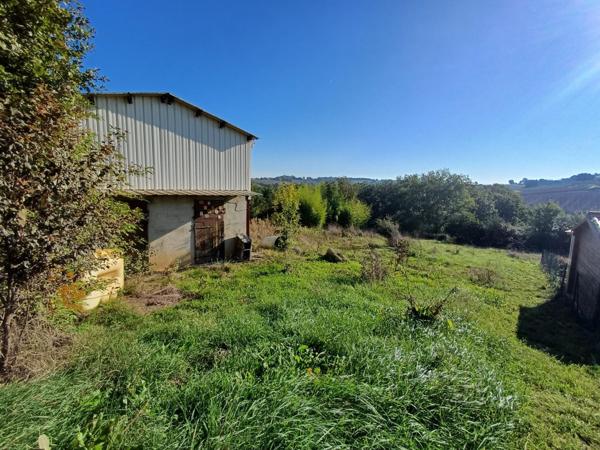 Terrain rare à Carlus