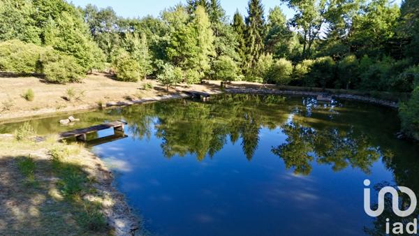 Terrain à vendre 11 902 m² Saint-Estèphe