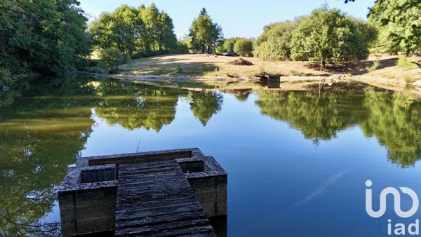 Terrain à vendre 11 902 m² Saint-Estèphe