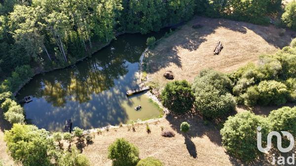 Terrain à vendre 11 902 m² Saint-Estèphe