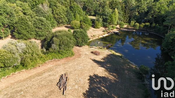 Terrain à vendre 11 902 m² Saint-Estèphe
