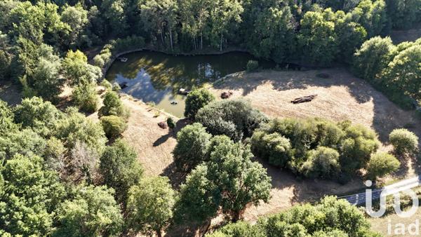 Terrain à vendre 11 902 m² Saint-Estèphe