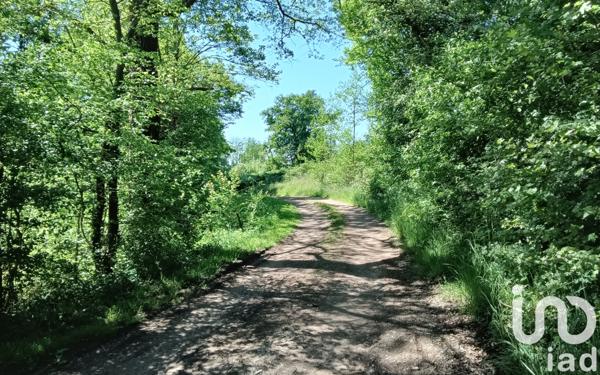 Maison à vendre 5 pièces 140 m² Saint-Jeanvrin