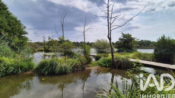 Maison à vendre 5 pièces 140 m² Saint-Jeanvrin