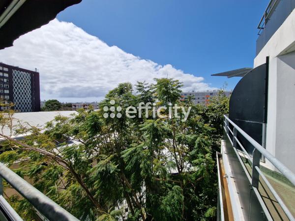 Appartement 3 pièces - 72 m² Exclusivité efficity