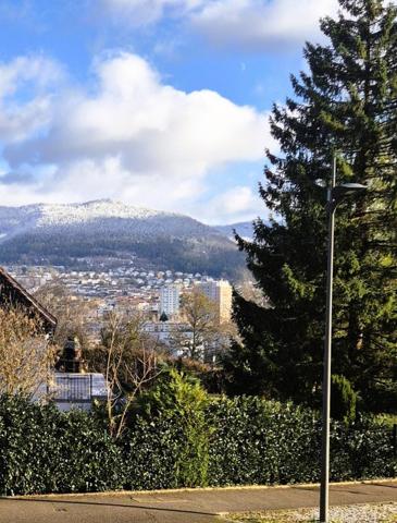 Vente / Maison mitoyenne