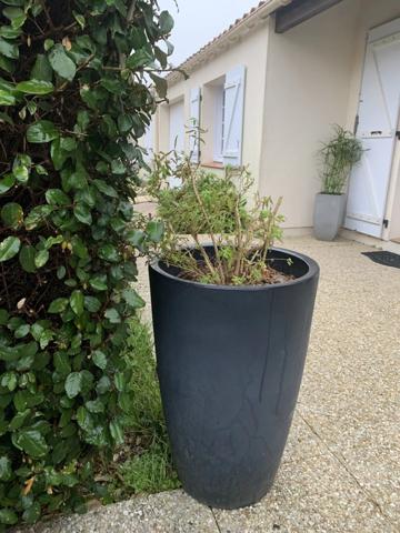 Vente Maison 4 pièces 75 m2 à Saint-Gilles-Croix-de-Vie