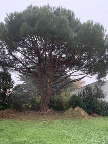 Vente Maison 4 pièces 75 m2 à Saint-Gilles-Croix-de-Vie