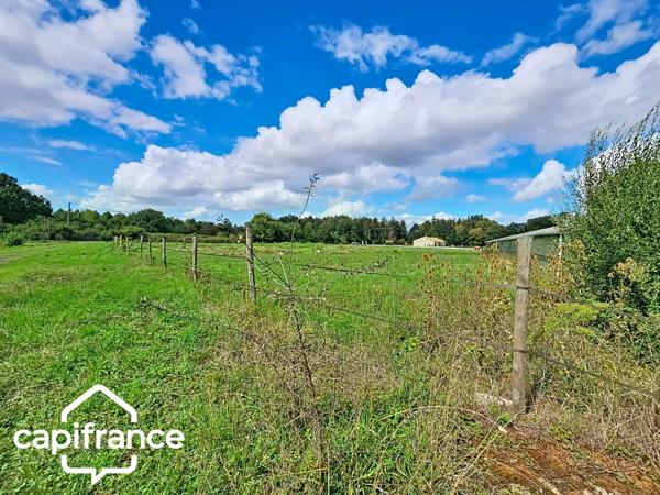 PROCHE DE THOUARS Maison de plain pied de 111m2 avec + de 2 hectares de terrain avec dépendance de 900m2