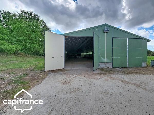 PROCHE DE THOUARS Maison de plain pied de 111m2 avec + de 2 hectares de terrain avec dépendance de 900m2