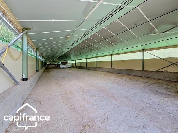 PROCHE DE THOUARS Maison de plain pied de 111m2 avec + de 2 hectares de terrain avec dépendance de 900m2