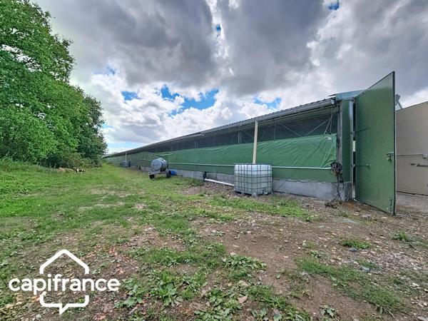 PROCHE DE THOUARS Maison de plain pied de 111m2 avec + de 2 hectares de terrain avec dépendance de 900m2