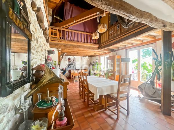 Maison Briarde avec Piscine et Beaux Volumes