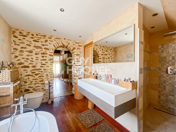 Maison Briarde avec Piscine et Beaux Volumes