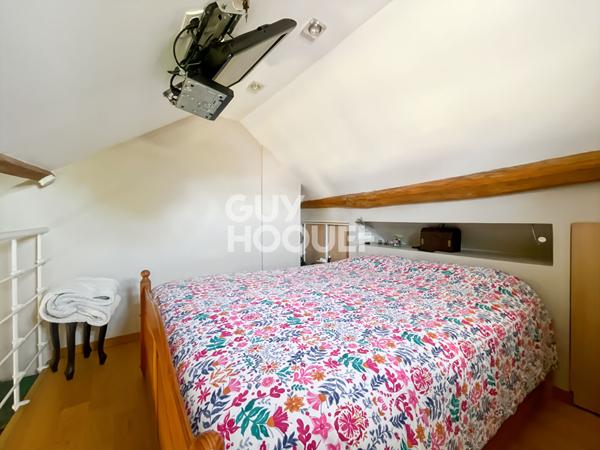 Maison Briarde avec Piscine et Beaux Volumes