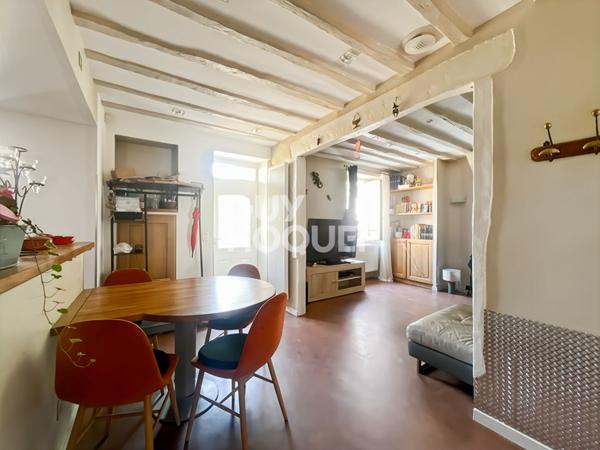 Maison Briarde avec Piscine et Beaux Volumes