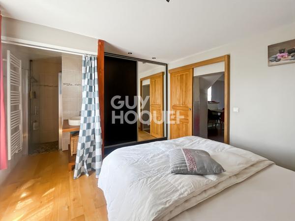 Maison Briarde avec Piscine et Beaux Volumes