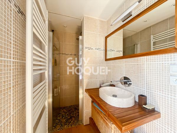 Maison Briarde avec Piscine et Beaux Volumes