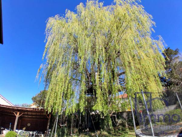 Maison 8 pièces                                        - 43000 Le Puy-en-Velay Réf : 2736-CIFVFOREZVELAY