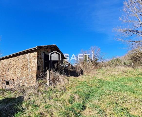Grange rustique à l'orée d'un bois