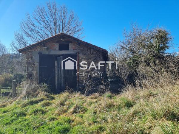 Grange rustique à l'orée d'un bois