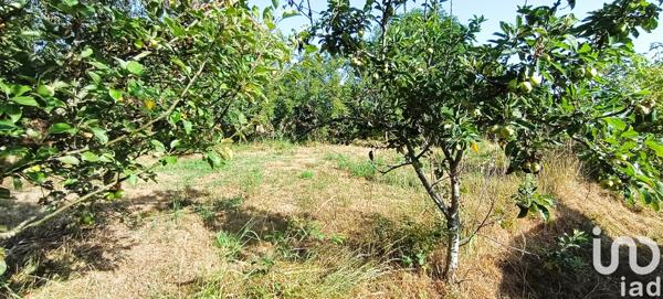 Terrain à vendre 2 134 m² Jazeneuil