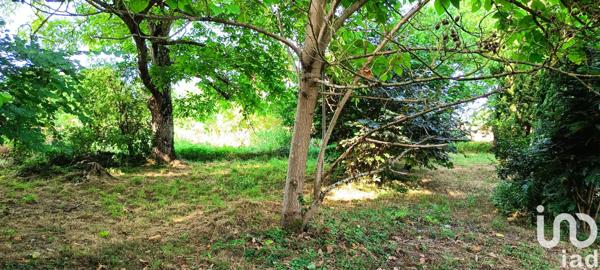Terrain à vendre 2 134 m² Jazeneuil