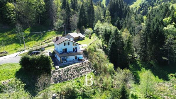 Gérardmer, Maison  250 m² à vendre